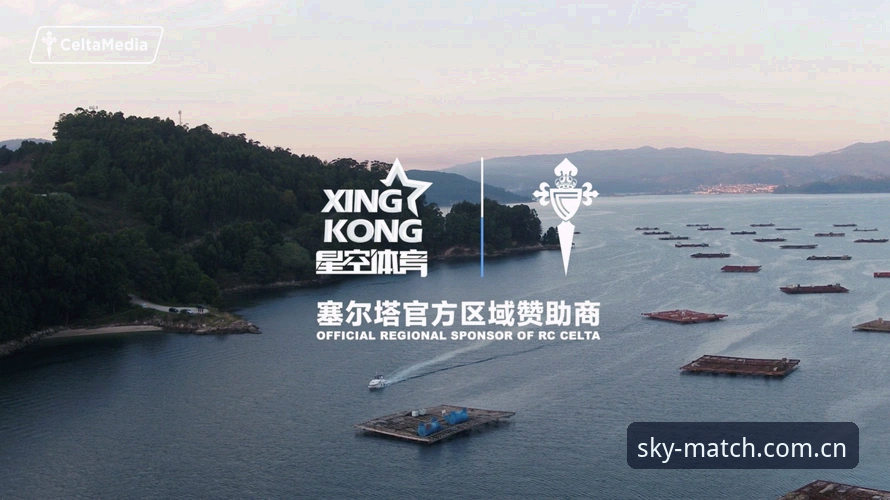 星空体育平台电脑版使用指南：从安装到沉浸式观赛的完整攻略